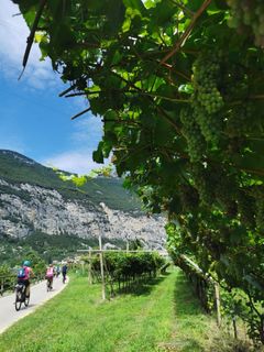 Photo de Hari Schrittwieser le long du parcours