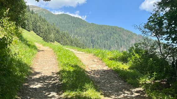 Fotografija s spletne strani Katja Hechler na poti