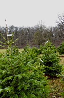 Fotografia z Kellner Heidi na trase