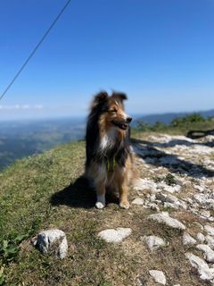 Foto von Simone Maier entlang der Tour