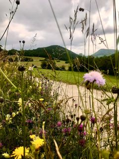 Photo de Kellner Heidi le long du parcours