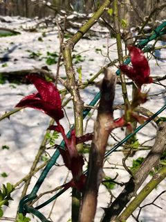 Foto de Kellner Heidi a lo largo del recorrido