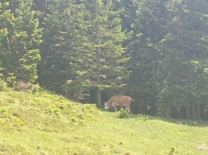 Foto von GAdamec entlang der Tour
