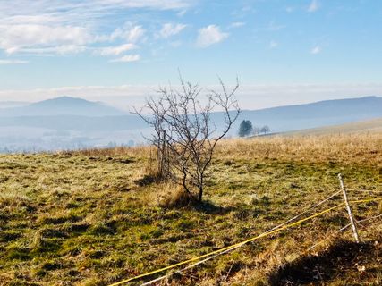 Foto von Kellner Heidi entlang der Tour