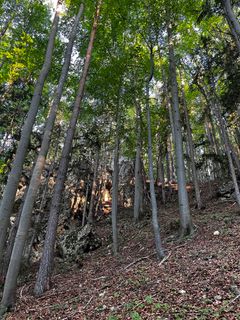Foto de NezSari a lo largo del recorrido