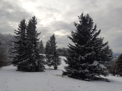 Photo de mmecki le long du parcours