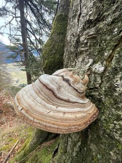 Fotografie z pedaklaus na trase