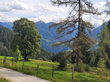 Fotografie z mmecki na trase