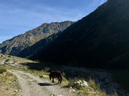 Photo de Toni Lerda le long du parcours