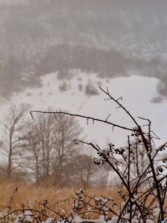 Foto von Kellner Heidi entlang der Tour