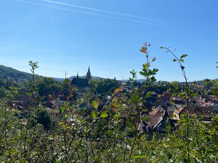 Foto von Roger Blondeel entlang der Tour