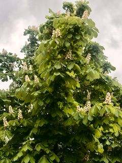 Foto de Kellner Heidi a lo largo del recorrido