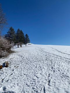 Fotografija s spletne strani Mario Klauser na poti