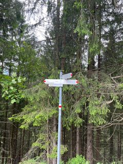 Photo de Raik Strassas le long du parcours