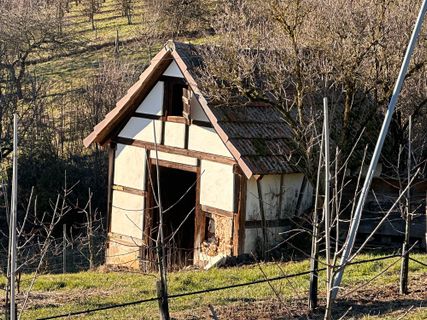 Foto de Norbert Herbig a lo largo del recorrido