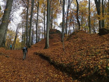 Fotografia z Ferenc Kiss na trase