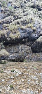 Photo de Thomas Klein le long du parcours