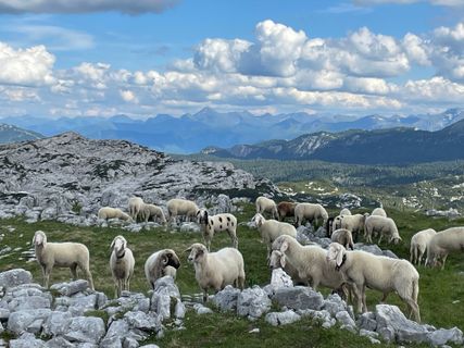 Foto von Michael Bauer entlang der Tour