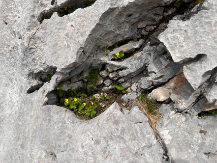Foto de Norbert Herbig a lo largo del recorrido