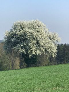 Zdjęcie z Kellner Heidi wzdłuż trasy