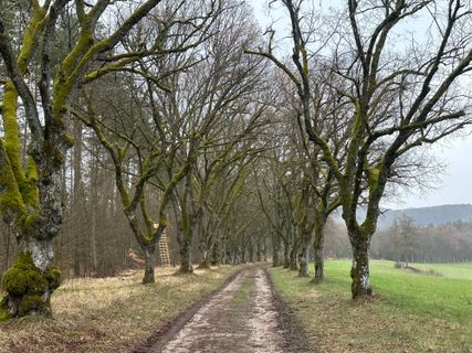 Foto von Norbert Herbig entlang der Tour