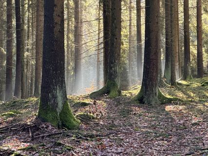 Zdjęcie z Norbert Herbig wzdłuż trasy