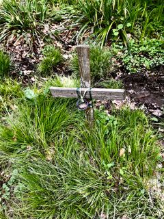 Foto de Kellner Heidi a lo largo del recorrido