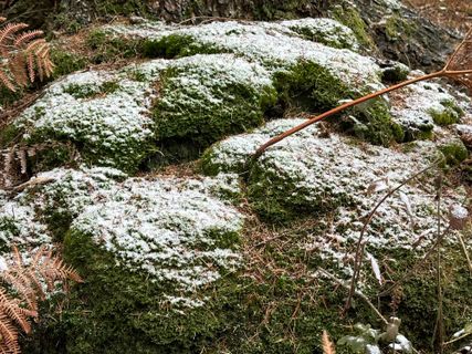 Foto von Norbert Herbig entlang der Tour