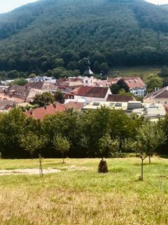 Zdjęcie z Kellner Heidi wzdłuż trasy