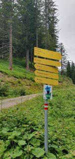 Foto von Tobias Koch 1 entlang der Tour