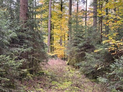 Fotografija s spletne strani Norbert Herbig na poti