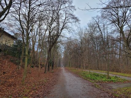 Foto von mmecki entlang der Tour