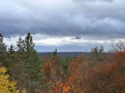Foto von Norbert Herbig entlang der Tour