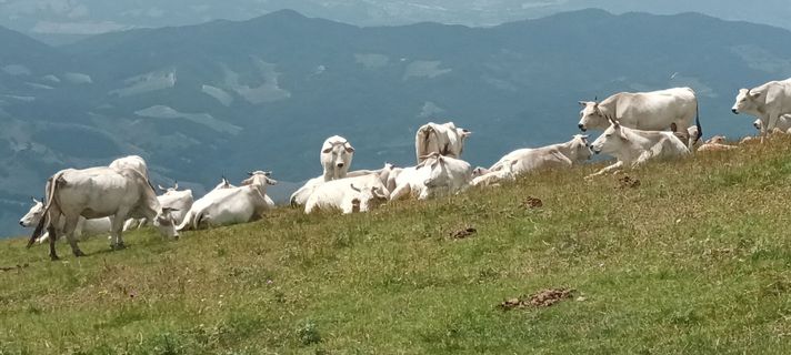 Foto von Gabriele Cucchi entlang der Tour