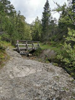 Foto von joergen entlang der Tour