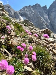 Foto de Berjan Arentsen a lo largo del recorrido