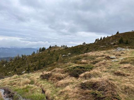 Foto von Norbert Herbig entlang der Tour