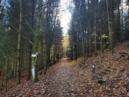 Foto von mmecki entlang der Tour