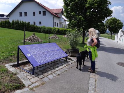 Foto von mmecki entlang der Tour