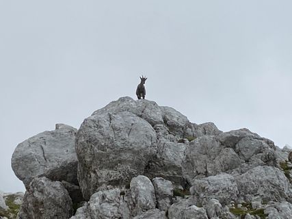 Fotografie z Fabio Infanti na trase