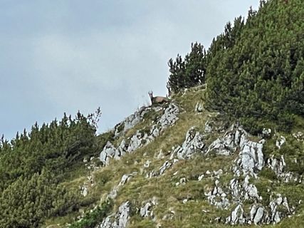 Zdjęcie z Norbert Herbig wzdłuż trasy