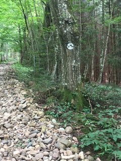 Zdjęcie z A wzdłuż trasy