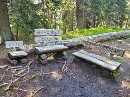 Photo de mmecki le long du parcours