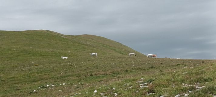 Foto von Gabriele Cucchi entlang der Tour