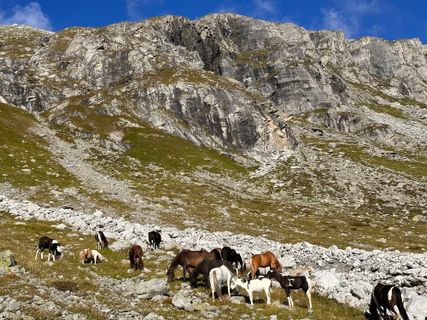 Zdjęcie z Norbert Herbig wzdłuż trasy