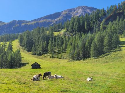 Foto von mmecki entlang der Tour