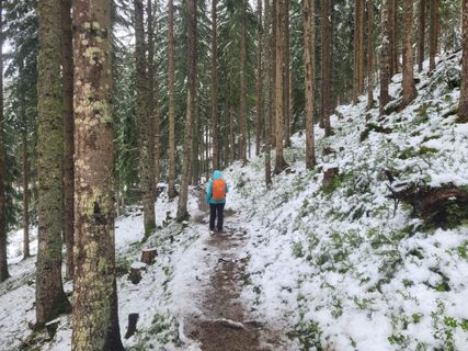 Fotografija s spletne strani mmecki na poti