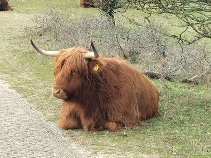 Fotografia z Arend Derksen na trase