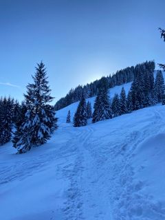 Foto fra Karin Mäser underveis på turen