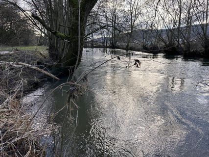 Fotografija s spletne strani Norbert Herbig na poti